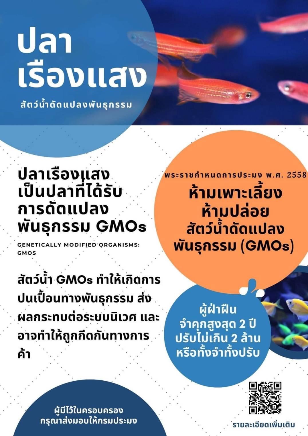 ประชาสัมพันธุ์ การกำหนดชนิดสัตว์นำ้ห้ามเพาะเลี้ยงในราชอาณาจักร พ.ศ. 2564 ห้ามเพาะเลี้ยงปลาที่มีการดัดแปลงหรือตัดแต่งพันธุกรรม GMO LMO ทุกชนิด..คลิก