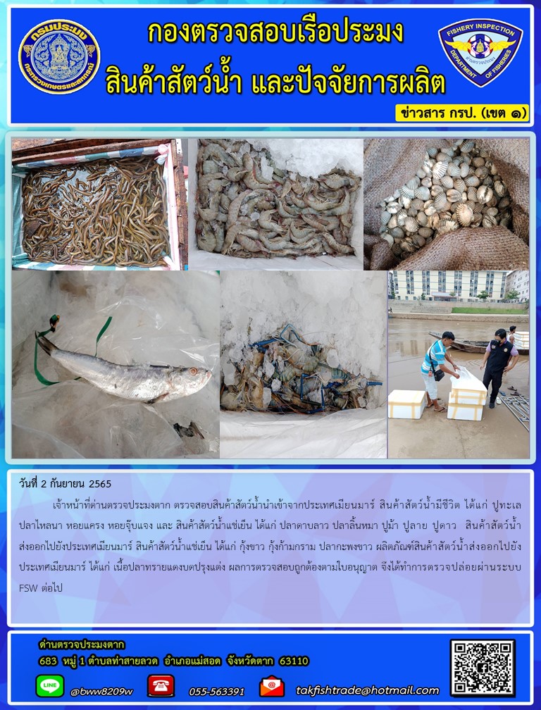 วันที่ 2 กันยายน 2565  	เจ้าหน้าที่ด่านตรวจประมงตาก ตรวจสอบสินค้าสัตว์น้ำนำเข้าจากประเทศเมียนมาร์ สินค้าสัตว์น้ำมีชีวิต ได้แก่ ปูทะเล ปลาไหลนา หอยแครง หอยจุ๊บแจง และ สินค้าสัตว์น้ำแช่เย็น ได้แก่ ปลาดาบลาว ปลาลิ้นหมา ปูม้า ปูลาย ปูดาว  สินค้าสัตว์น้ำส่งออกไปยังประเทศเมียนมาร์ สินค้าสัตว์น้ำแช่เย็น ได้แก่ กุ้งขาว กุ้งก้ามกราม ปลากะพงขาว ผลิตภัณฑ์สินค้าสัตว์น้ำส่งออกไปยังประเทศเมียนมาร์ ได้แก่ เนื้อปลาทรายแดงบดปรุงแต่ง ผลการตรวจสอบถูกต้องตามใบอนุญาต จึงได้ทำการตรวจปล่อยผ่านระบบ FSW ต่อไป..คลิก