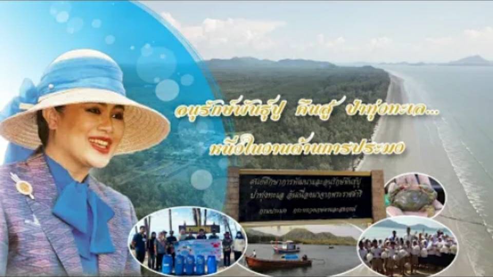 สืบสานพระราชปณิธาน สู่การพัฒนาประมงที่ยั่งยืน ตอน อนุรักษ์พันธุ์ปูป่าทุ่งทะเล หนึ่งในงานด้านการประมง