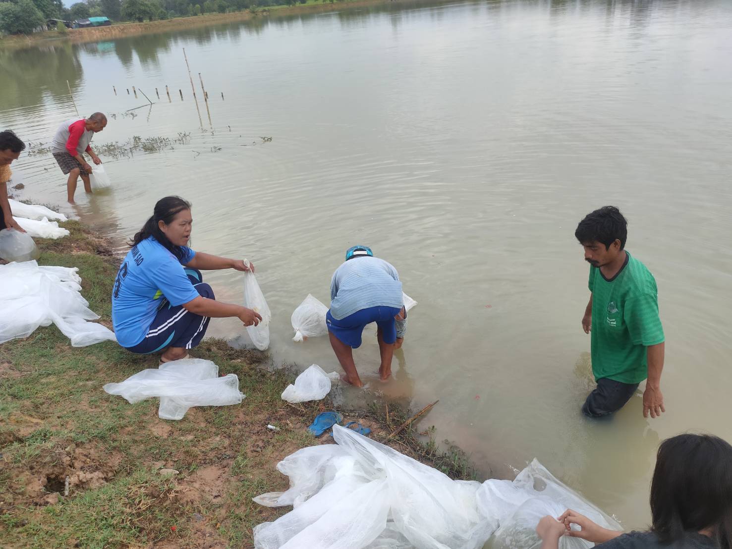 โครงการธนาคารผลผลิตสัตว์น้ำ..คลิก