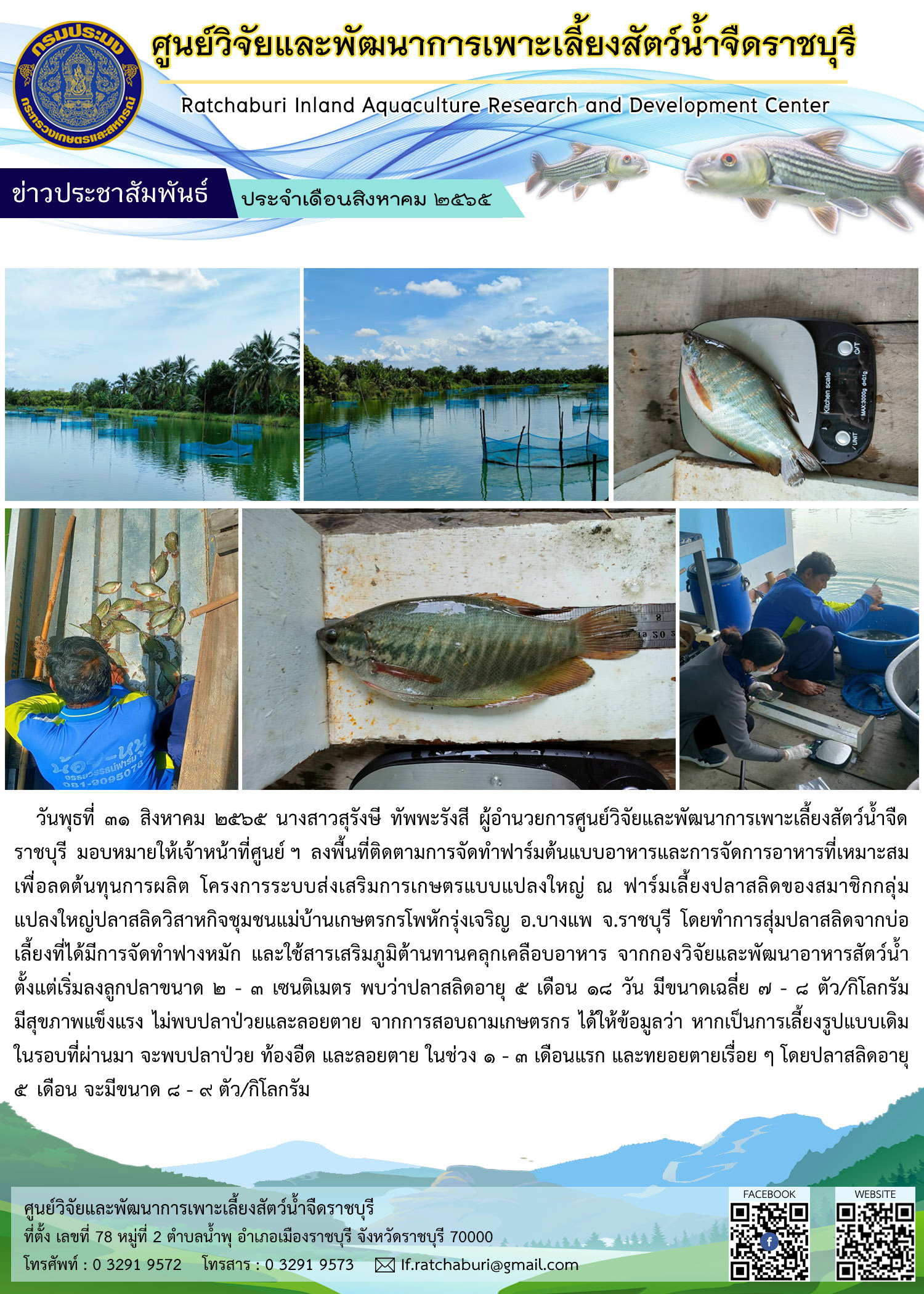 ติดตามโครงการระบบส่งเสริมการเกษตรแบบแปลงใหญ่ (สัตว์น้ำจืด) ปี 2565 แปลงใหญ่ปลาสลิดวิสาหกิจชุมชนแม่บ้านเกษตรกรโพหักรุ่งเจริญ อ.บางแพ จ.ราชบุรี..คลิก
