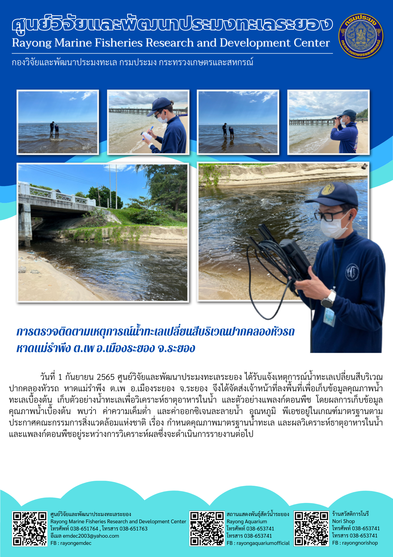 วันที่ 1 กันยายน 2565 ศูนย์วิจัยและพัฒนาประมงทะเลระยอง ได้รับแจ้งเหตุการณ์น้ำทะเลเปลี่ยนสีบริเวณ ปากคลองหัวรถ หาดแม่รำพึง ต.เพ อ.ระยอง จ.ระยอง จึงได้จัดส่งเจ้าหน้าที่ลงพื้นที่เพื่อเก็บข้อมูลคุณภาพน้ำทะเลเบื้องต้น เก็บตัวอย่างน้ำทะเลเพื่อวิเคราะห์ธาตุอาหารในน้ำ และตัวอย่างแพลงก์ตอนพืช โดยผลการเก็บข้อมูลคุณภาพเบื้องต้น พบว่า ความเค็มต่ำ และค่าออกซิเจนละลายน้ำ อุณหภูมิ พีเอชอยู่ในเกณฑ์มาตรฐานตามประกาศคณะกรรมการสิ่งแวดล้อมแห่งชาติ เรื่อง กำหนดคุณภาพมาตรฐานน้ำทะเล และผลวิเคราะห์ธาตุอาหารในน้ำและแพลงก์ตอนพืชอยู่ระหว่างการวิเคราะห์ผลซึ่งจะดำเนินการรายงานต่อไป..คลิก