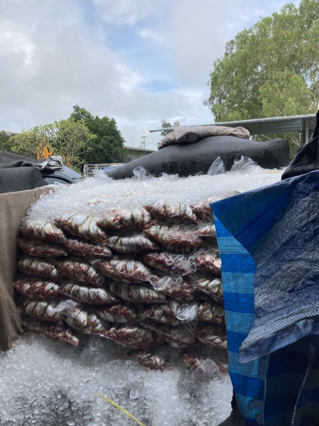 ผลการปฏิบัติงานด่านตรวจประมงสุรินทร์ วันที่ 6 กันยายน พ.ศ.2565 ณ จุดผ่านแดนถาวรช่องจอม..คลิก