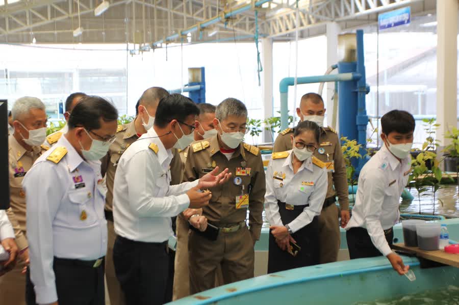องคมนตรี ติดตามผลการดำเนินงาน โครงการฟาร์มทะเลตัวอย่าง ฯ และปล่อยพันธุ์สัตว์น้ำ 999,900 ตัว ถวายเป็นพระราชกุศลแด่สมเด็จพระนางเจ้าสิริกิติ์ พระบรมราชินีนาถ พระบรมราชชนนีพันปีหลวง