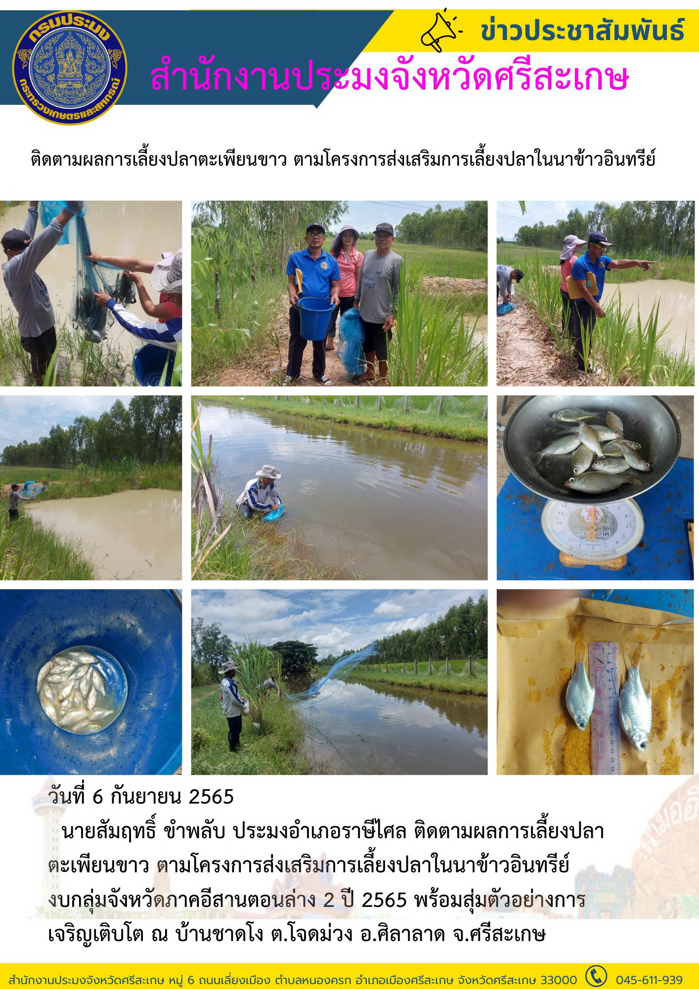 ติดตามผลการเลี้ยงปลาตะเพียนขาว ตามโครงการส่งเสริมการเลี้ยงปลาในนาข้าวอินทรีย์..คลิก