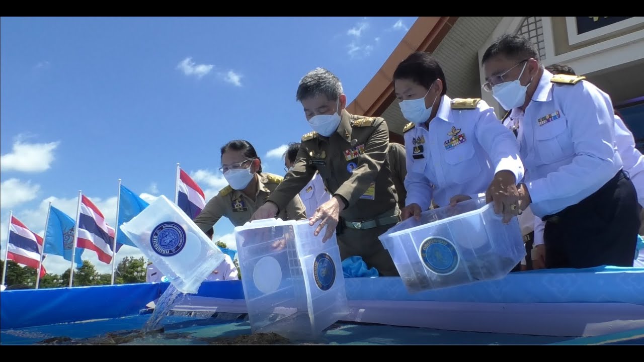 (คลิป) นายจรัลธาดา กรรณสูต องคมนตรี เป็นประธานในพิธีปล่อยพันธุ์สัตว์น้ำ เนื่องในโอกาสวันเฉลิมพระชนมพรรษาสมเด็จพระนางเจ้าสิริกิติ์ พระบรมราชินีนาถ พระบรมราชชนนีพันปีหลวง ณ ท่าชัยยุทธ ศูนย์ศิลปาชีพบางไทร อ.บางไทร จ.พระนครศรีอยุธยา..คลิก