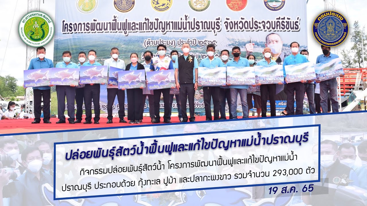 (คลิป) กิจกรรมปล่อยพันธุ์สัตว์น้ำ โครงการพัฒนาฟื้นฟูและแก้ไขปัญหาแม่น้ำปราณบุรี..คลิก