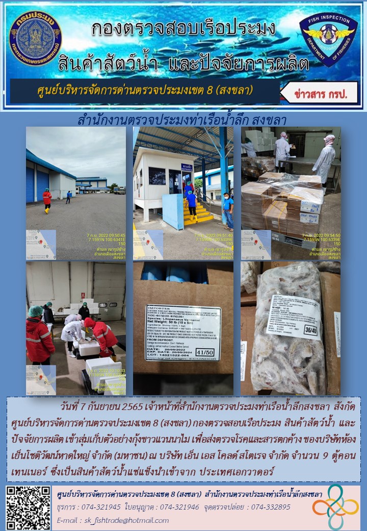 เจ้าหน้าที่สำนักงานตรวจประมงท่าเรือน้ำลึกสงขลา สังกัด ศูนย์บริหารจัดการด่านตรวจประมงเขต 8 (สงขลา) กองตรวจสอบเรือประมง สินค้าสัตว์น้ำ และปัจจัยการผลิต เข้าสุ่มเก็บตัวอย่างกุ้งขาวแวนนาไม..คลิก
