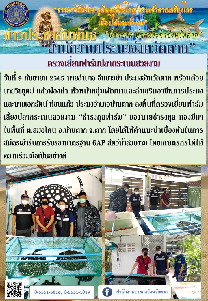 ตรวจเยี่ยมฟาร์มปลากระเบนสวยงาม..คลิก