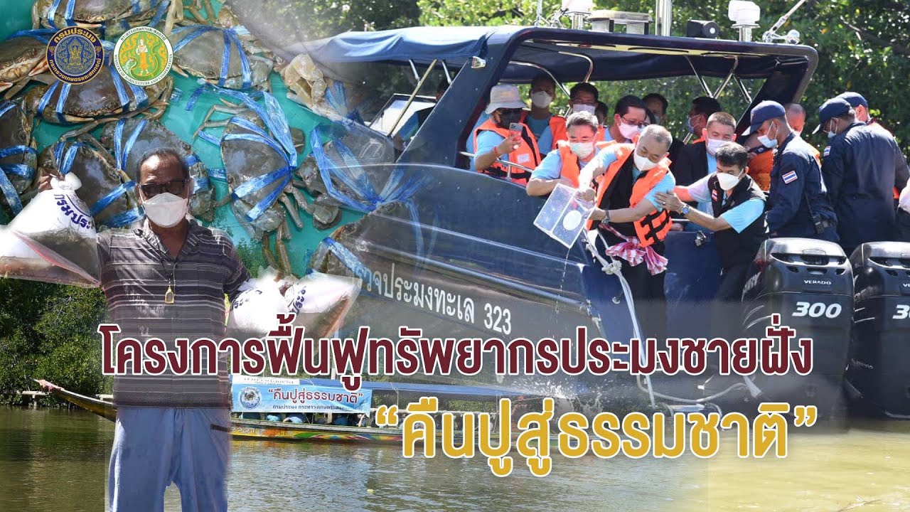 (คลิป) กรมประมงขานรับนโยบายจาก ดร.เฉลิมชัย ศรีอ่อน รัฐมนตรีว่าการกระทรวงเกษตรและสหกรณ์ ดำเนินโครงการฟื้นฟูทรัพยากรประมงชายฝั่ง “คืนปูสู่ธรรมชาติ” เพื่อสร้างความอุดมสมบูรณ์ให้พื้นที่ทะเลบางขุนเทียน นำความเข้มแข็งมาสู่ชุมชนและอาชีพเกษตรกรผู้เพาะเลี้ยงสัตว์น้ำชายฝั่งให้ยั่งยืนต่อไป..คลิก