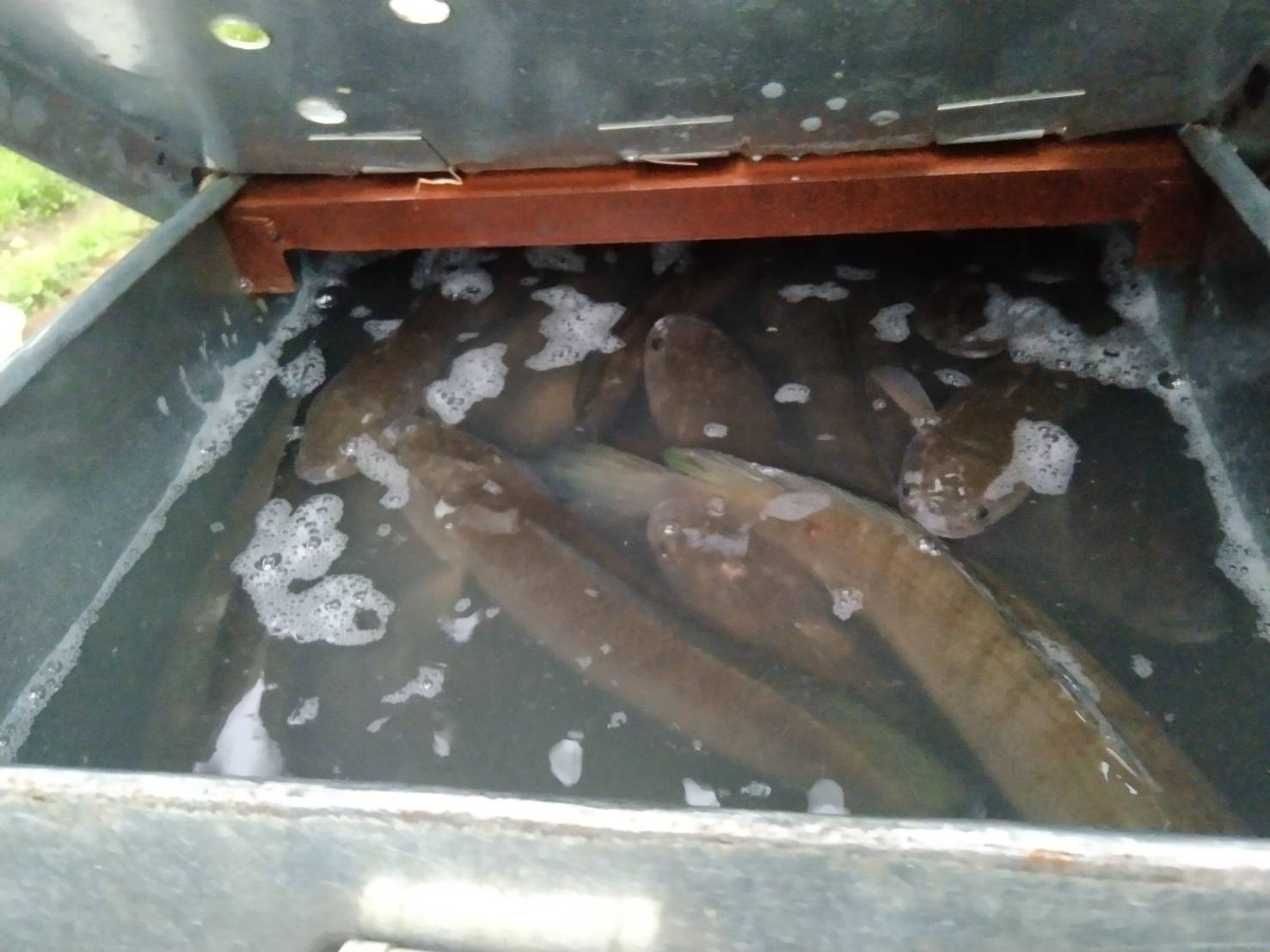 ผลการปฏิบัติงานด่านตรวจประมงสุรินทร์ วันที่ 12 กันยายน พ.ศ.2565 ณ จุดผ่านแดนถาวรช่องจอม..คลิก