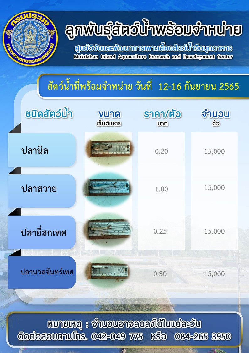 ลูกพันธุ์สัตว์น้ำพร้อมจำหน่าย..คลิก