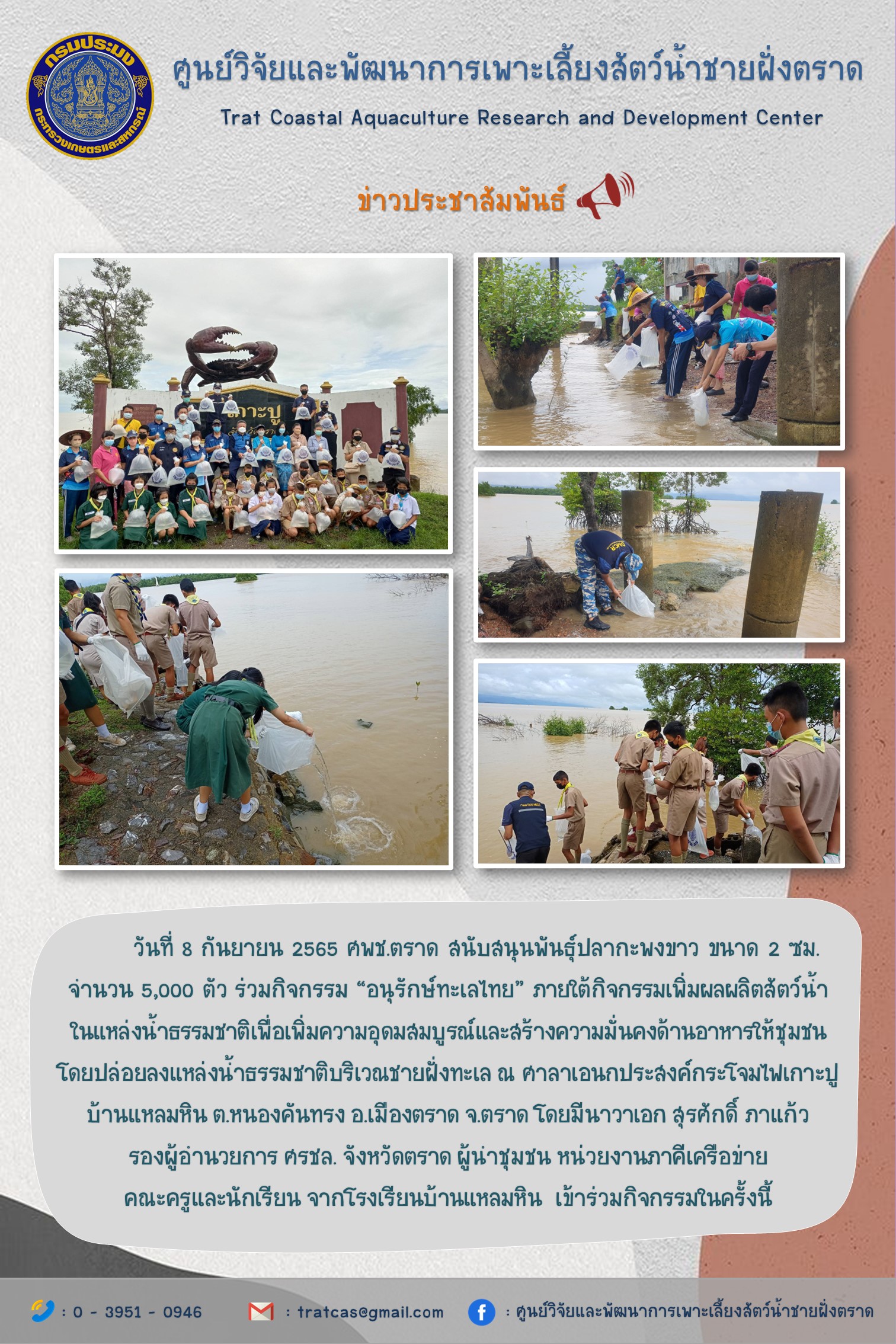วันที่ 8 กันยายน 2565 ศูนย์วิจัยและพัฒนาการเพาะเลี้ยงสัตว์น้ำชายฝั่งตราด สนับสนุนพันธุ์ปลากะพงขาว ขนาด 2 ซม. จำนวน 5,000 ตัว ร่วมกิจกรรม “อนุรักษ์ทะเลไทย” ภายใต้กิจกรรมเพิ่มผลผลิตสัตว์น้ำ ในแหล่งน้ำธรรมชาติเพื่อเพิ่มความอุดมสมบูรณ์และสร้างความมั่นคงด้านอาหารให้ชุมชน..คลิก