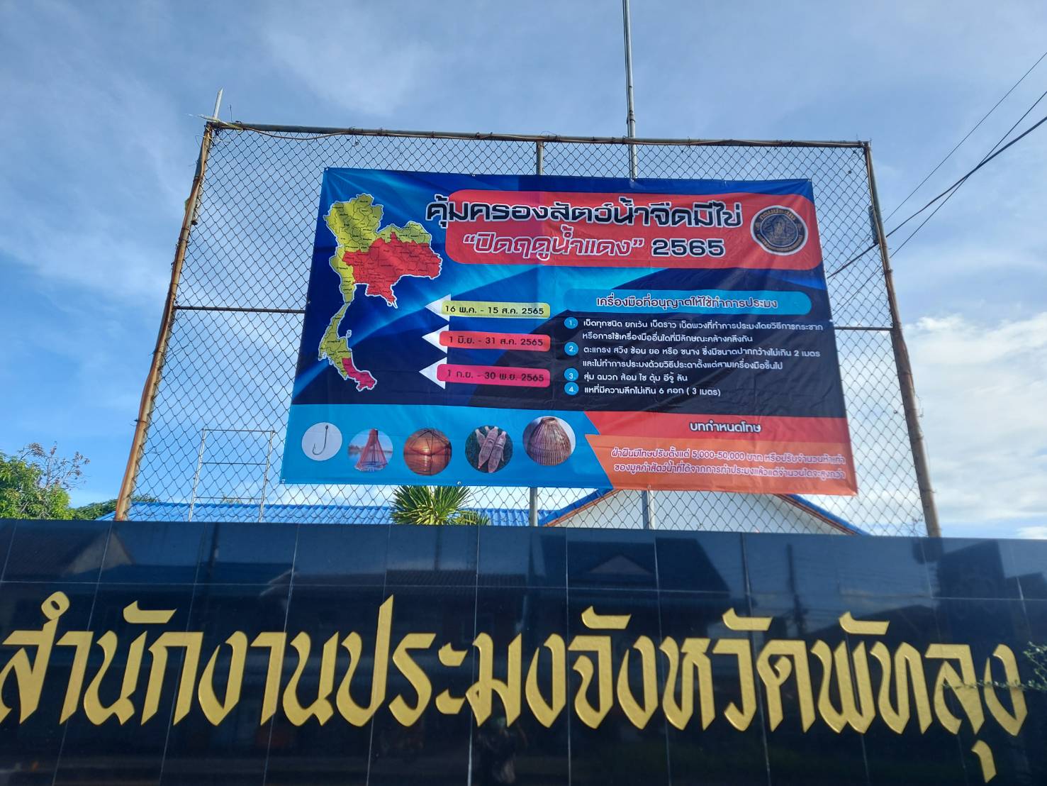 จังหวัดพัทลุง ประชาสัมพันธ์  คุ้มครองสัตว์น้ำมีไข่  ..คลิก