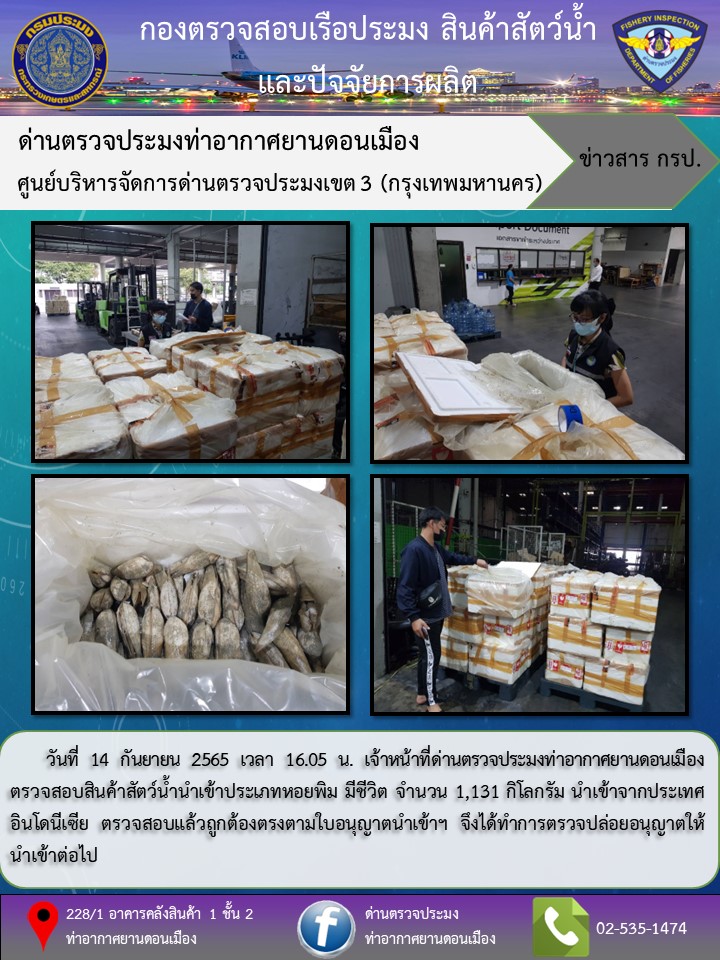 ตรวจสอบสินค้าสัตว์น้ำนำเข้า