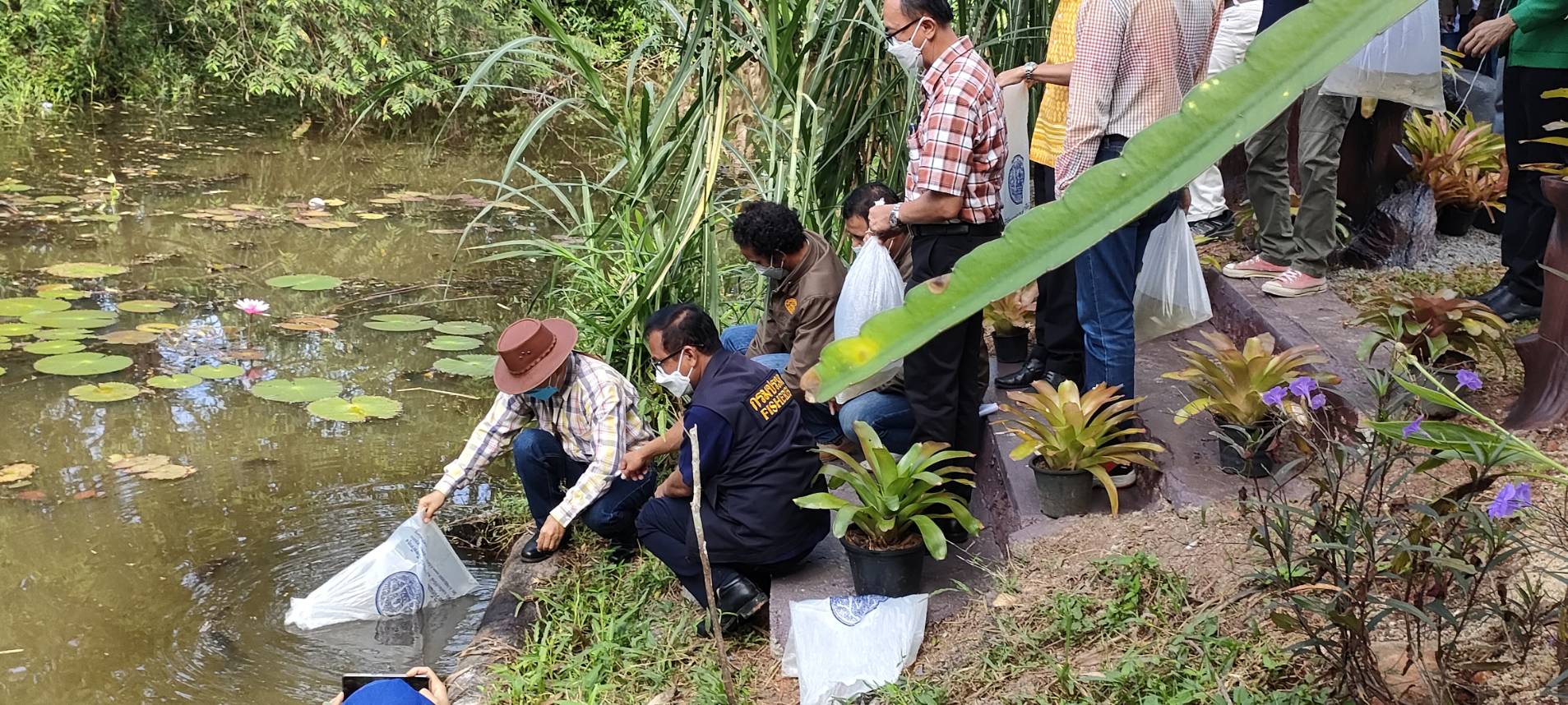 ประมงจังหวัดพัทลุง เข้าร่วมเปิดป้ายกลุ่มวิสาหกิจชุมชน คนเลี้ยงวัวบ้านควนยวน - หานโพธิ์  และปล่อยพันธุ์สัตว์น้ำ..คลิก