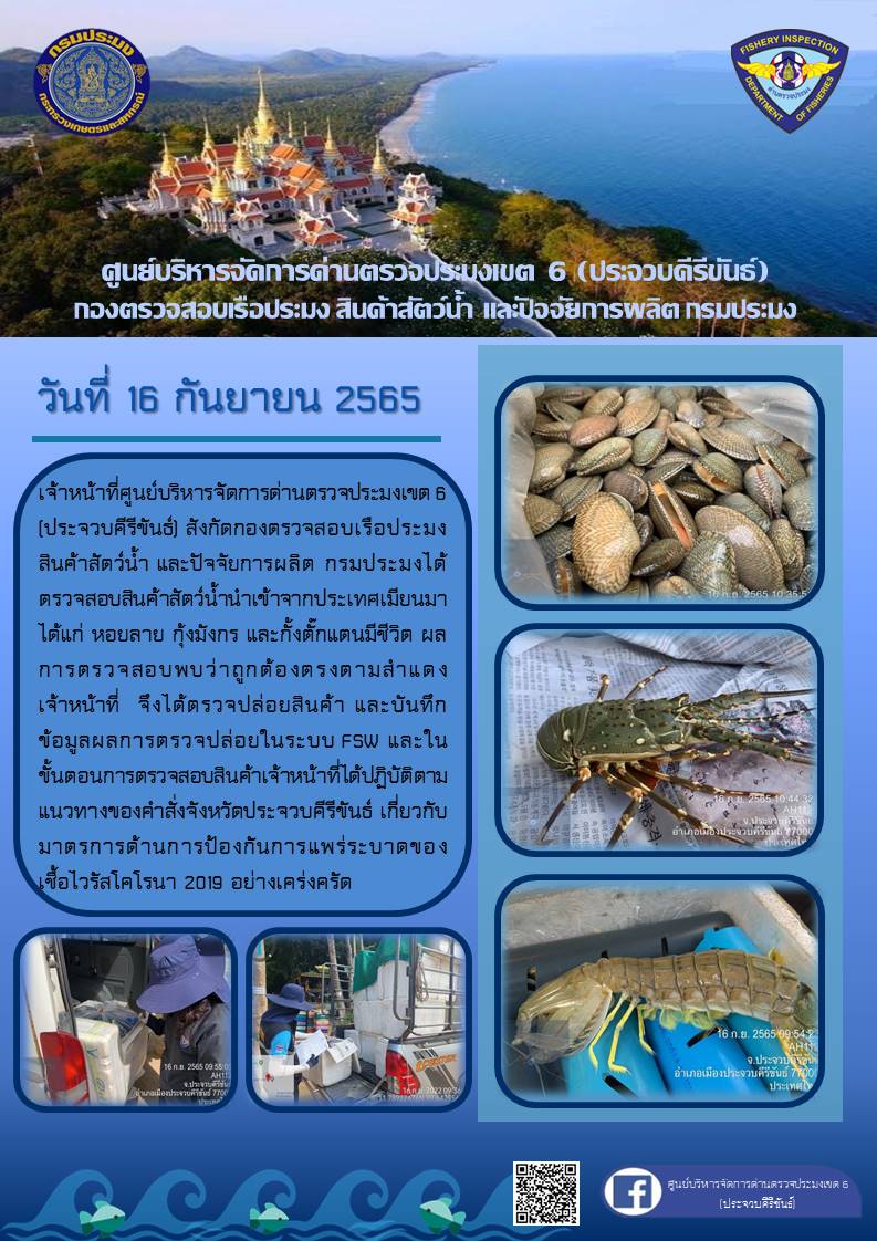 ตรวจสอบสินค้าสัตว์น้ำนำเข้าจากประเทศเมียนมา..คลิก