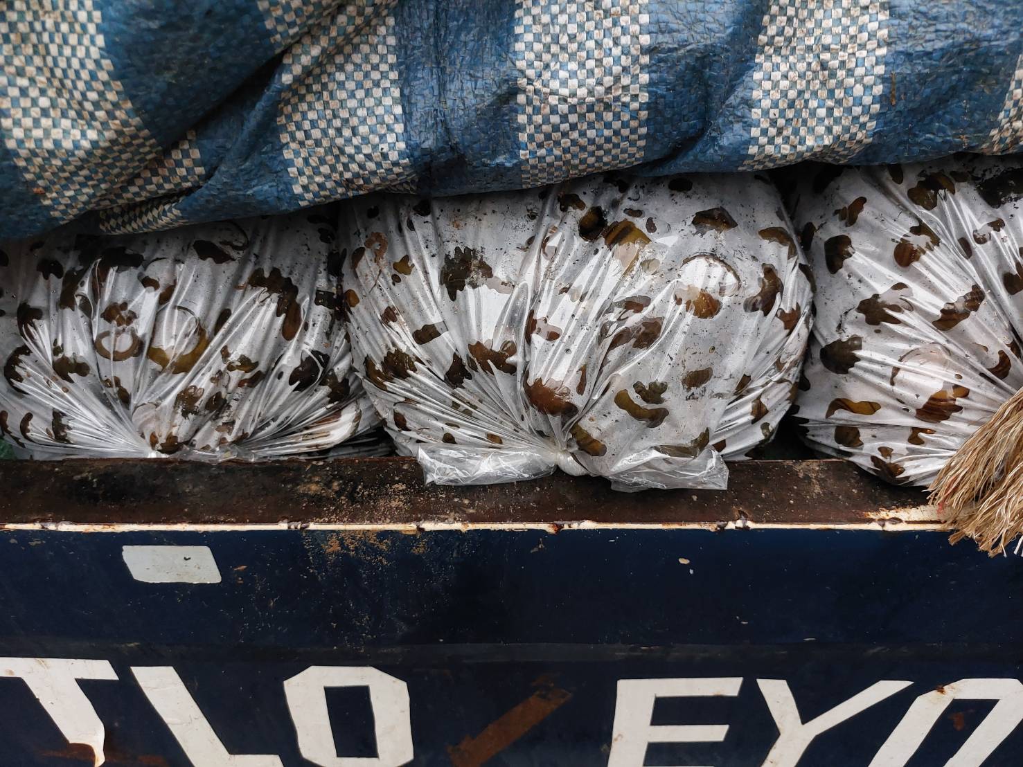 ผลการปฏิบัติงานด่านตรวจประมงสุรินทร์ วันที่ 19 กันยายน พ.ศ.2565 ณ จุดผ่านแดนถาวรช่องจอม..คลิก