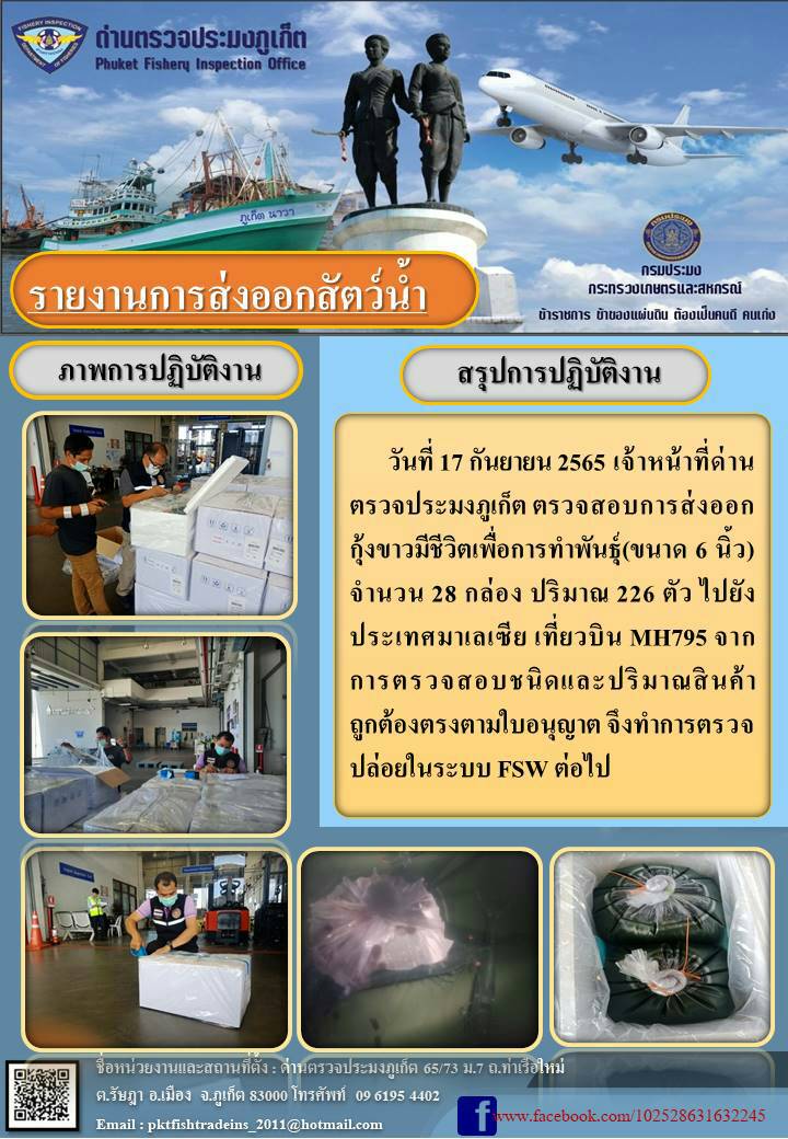 วันที่ 17 กันยายน 2565 เจ้าหน้าที่ด่านตรวจประมงภูเก็ต ตรวจสอบการส่งออกกุ้งขาวเพื่อทำพันธุ์มีชีวิต ขนาด 6 นิ้ว จำนวน 28 กล่อง ปริมาณ 226 ตัว ไปประเทศมาเลเซีย เที่ยวบิน MH795 จากการตรวจสอบชนิดและปริมาณสินค้าถูกต้องตรงตามใบอนุญาต จึงทำการตรวจปล่อยในระบบ FSW ต่อไป..คลิก
