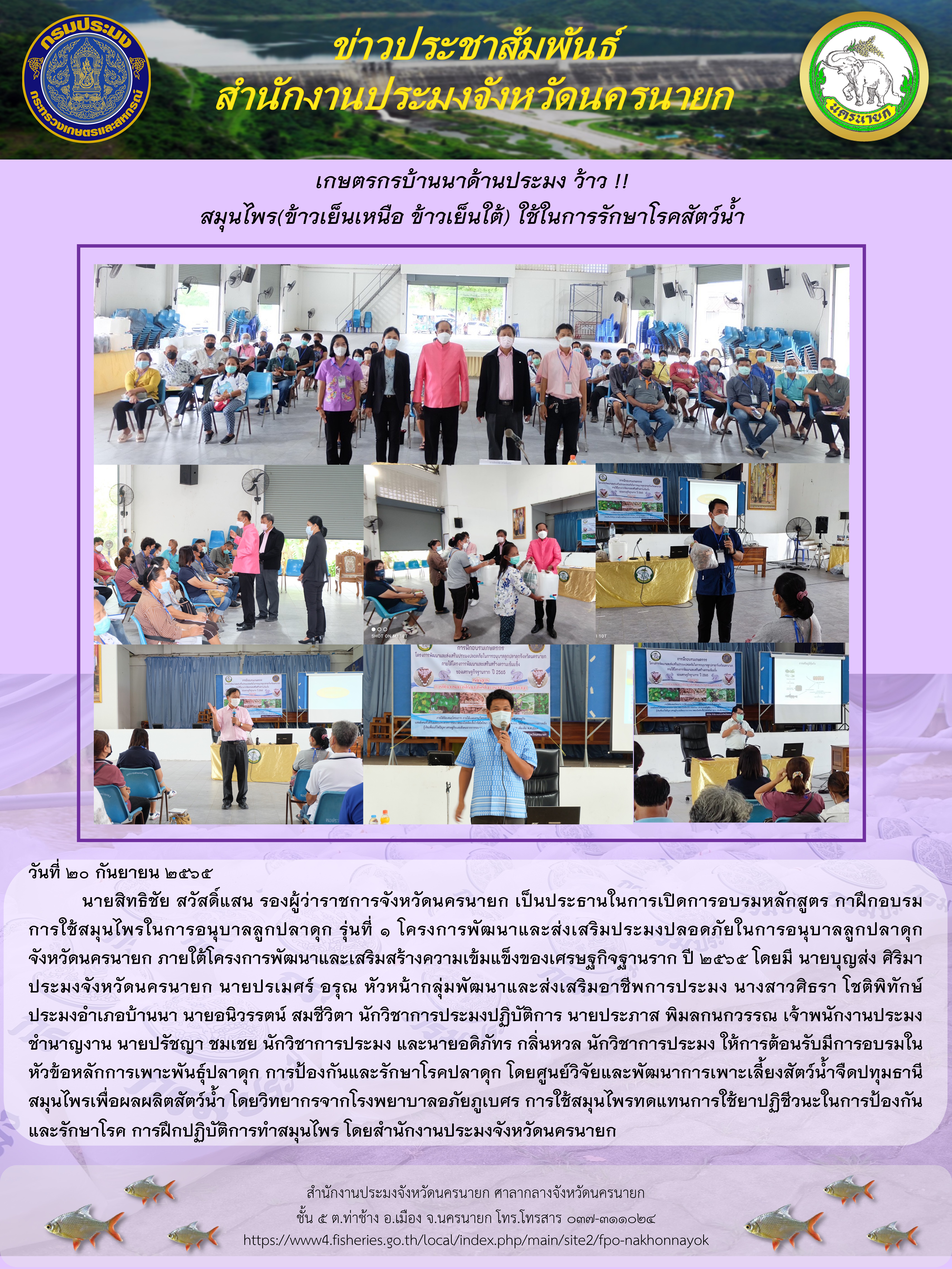 เกษตรกรบ้านนาด้านประมง ว้าว !! สมุนไพร(ข้าวเย็นเหนือ ข้าวเย็นใต้) ใช้ในการรักษาโรคสัตว์น้ำ..คลิก