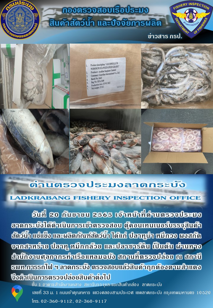 ตรวจสอบสินค้าสัตว์น้ำนำเข้าประจำวันที่ 20 กันยายน 2565..คลิก