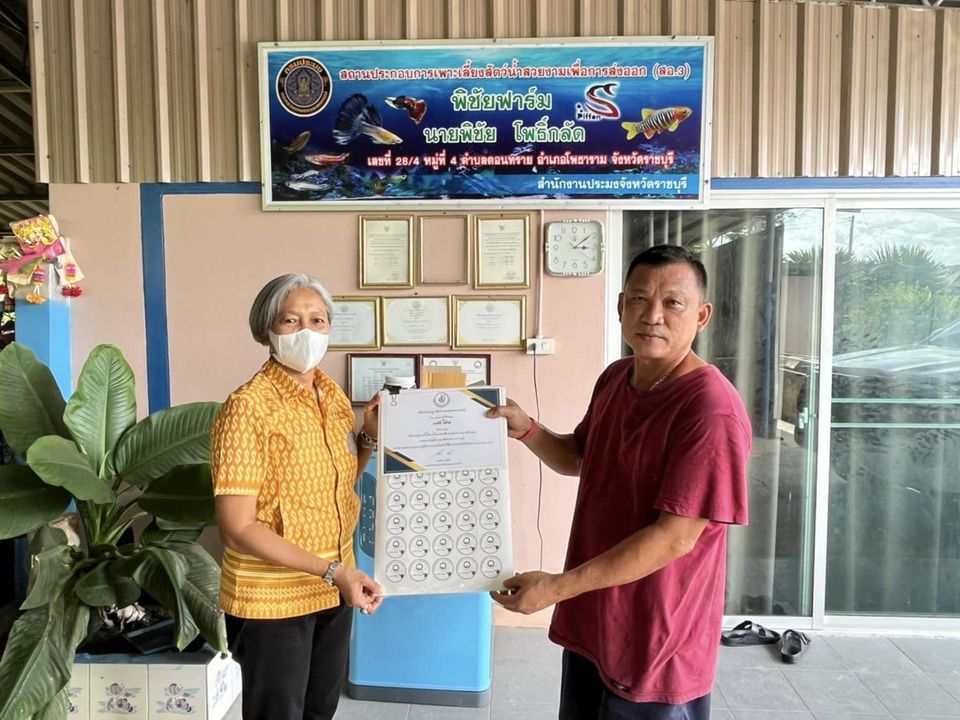 ลงพื้นที่ติดตามเกษตรกรโครงการระบบส่งเสริมเกษตรแบบแปลงใหญ่..คลิก