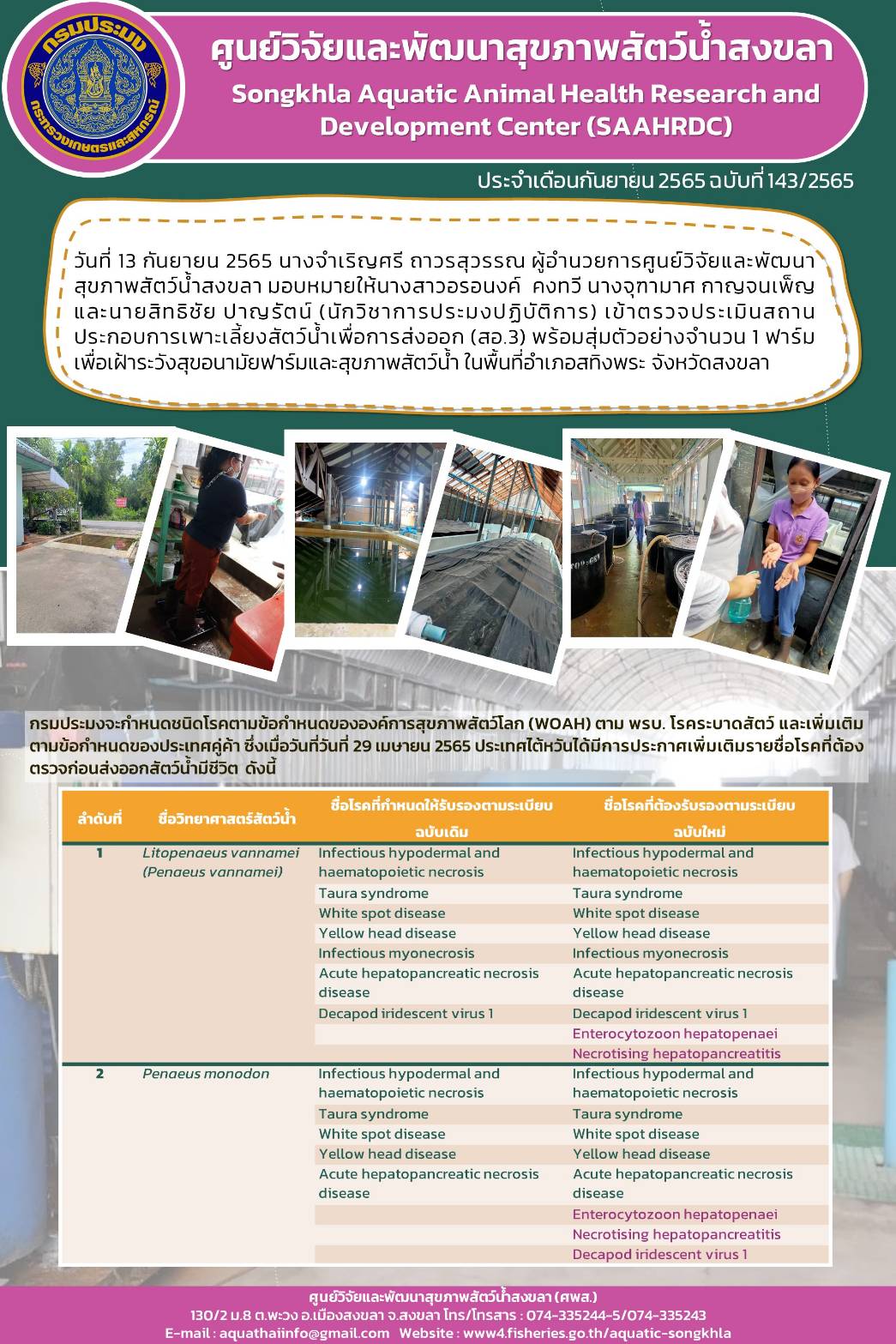 ฉบับที่ 143/65 ศูนย์วิจัยและพัฒนาสุขภาพสัตว์น้ำสงขลา เข้าตรวจประเมินสถาน ประกอบการเพาะเลี้ยงสด น่าเพื่อการส่งออก (สอ.3)..คลิก