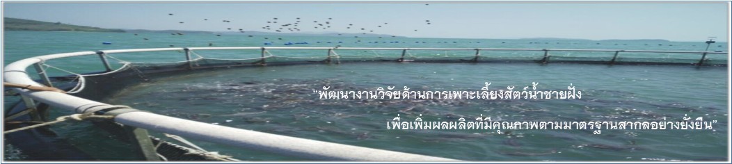 ปก..คลิก