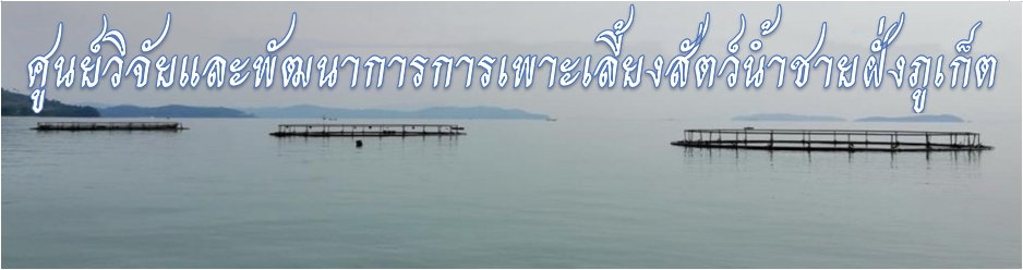 ภาพสไลด์..คลิก