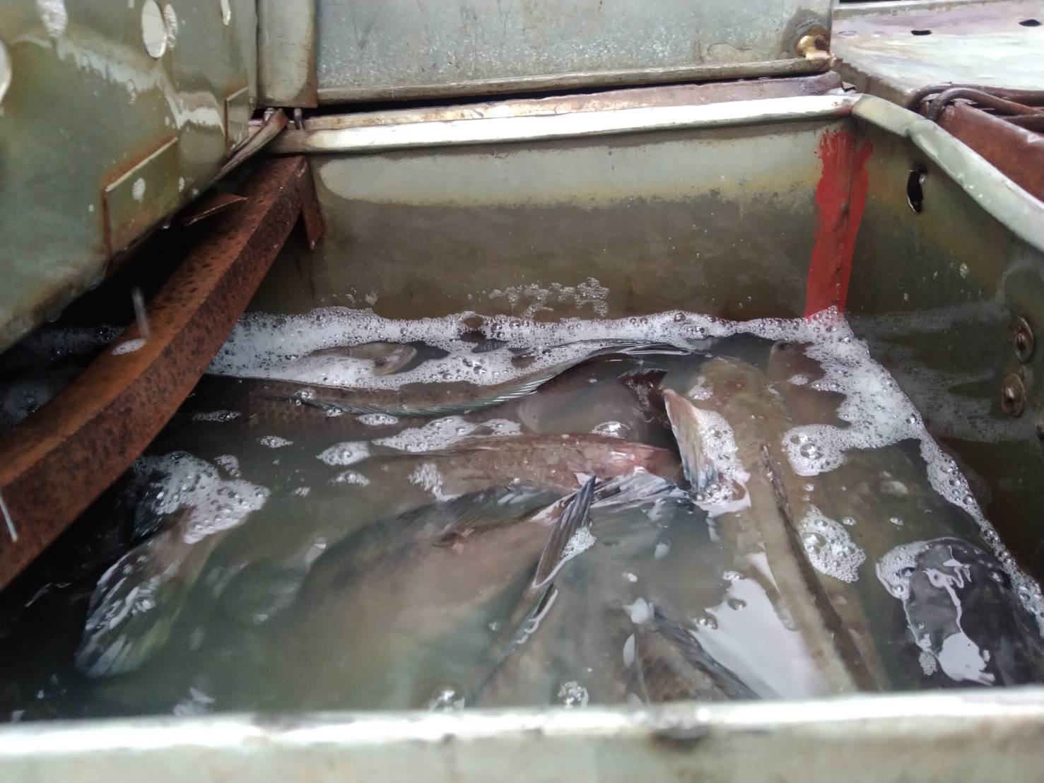 ผลการปฏิบัติงานด่านตรวจประมงสุรินทร์ วันที่ 28 กันยายน พ.ศ.2565 ณ จุดผ่านแดนถาวรช่องจอม..คลิก