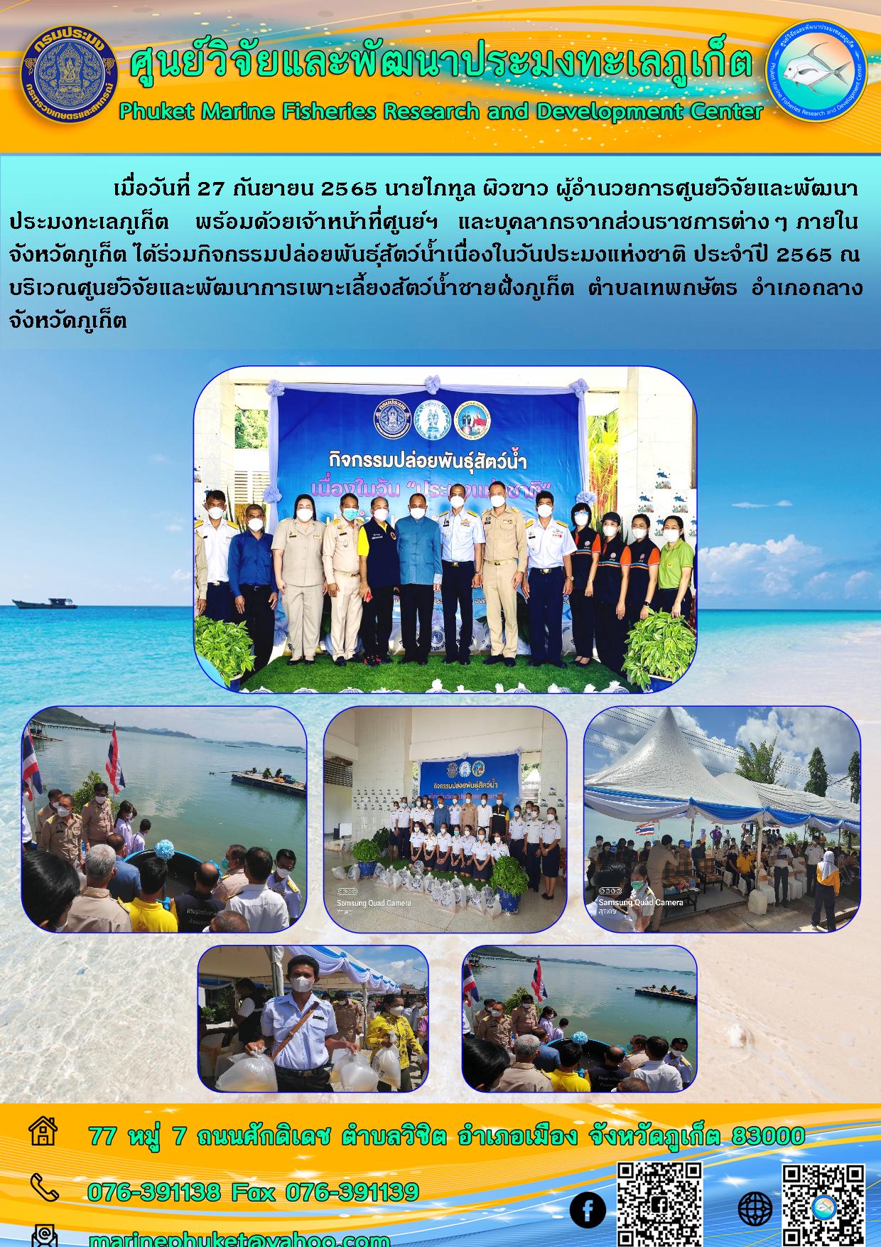 เมื่อวันที่ 27 กันยายน 2565 นายไภทูล ผิวขาว ผู้อำนวยการศูนย์วิจัยและพัฒนาประมงทะเลภูเก็ต พร้อมด้วยเจ้าหน้าที่ศูนย์ฯ และบุคลากรจากส่วนราชการต่าง ๆ ภายในจังหวัดภูเก็ต ได้ร่วมกิจกรรมปล่อยพันธุ์สัตว์น้ำเนื่องในวันประมงแห่งชาติ ประจำปี 2565 ณ บริเวณศูนย์วิจัยและพัฒนาการเพาะสัตว์น้ำชายฝั่งภูเก็ต ตำบลเทพกษัตร อำเภอกลาง จังหวัดภูเก็ต..คลิก