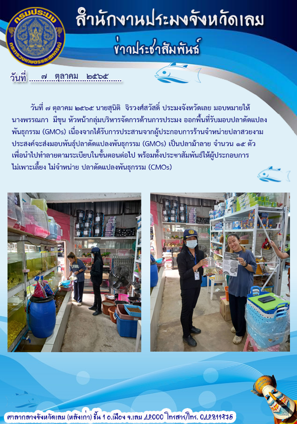ออกพื้นที่รับมอบปลาดัดแปลงพันธุกรรม (GMOs)