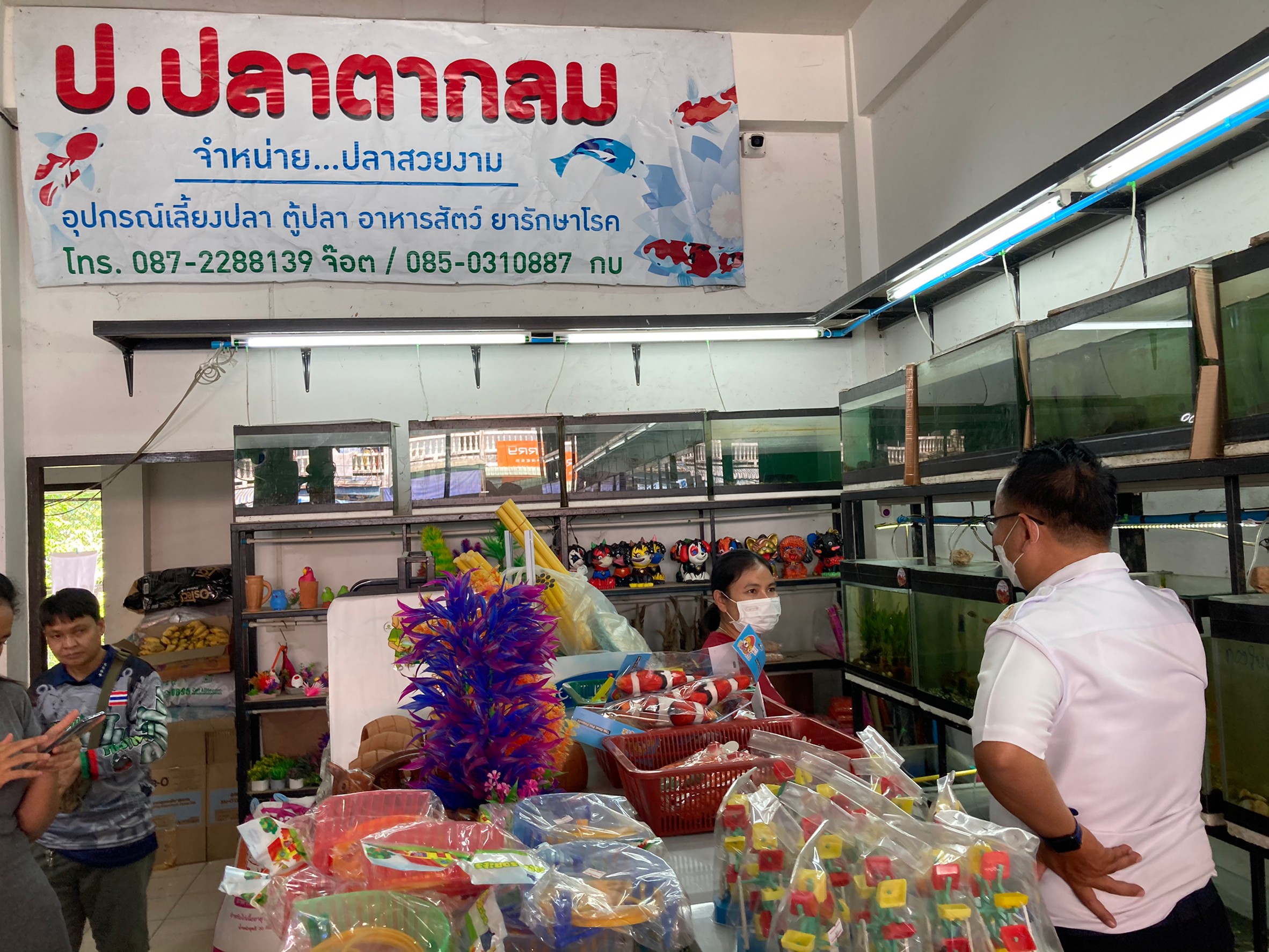 สำรวจและประชาสัมพันธ์เกษตรกรผู้เพาะเลี้ยงสัตว์น้ำ/ส่งออกปลาที่มีการตัดแต่งพันธุกรรม GMOs ในพื้นที่อำเภอเมืองน่าน จังหวัดน่าน..คลิก