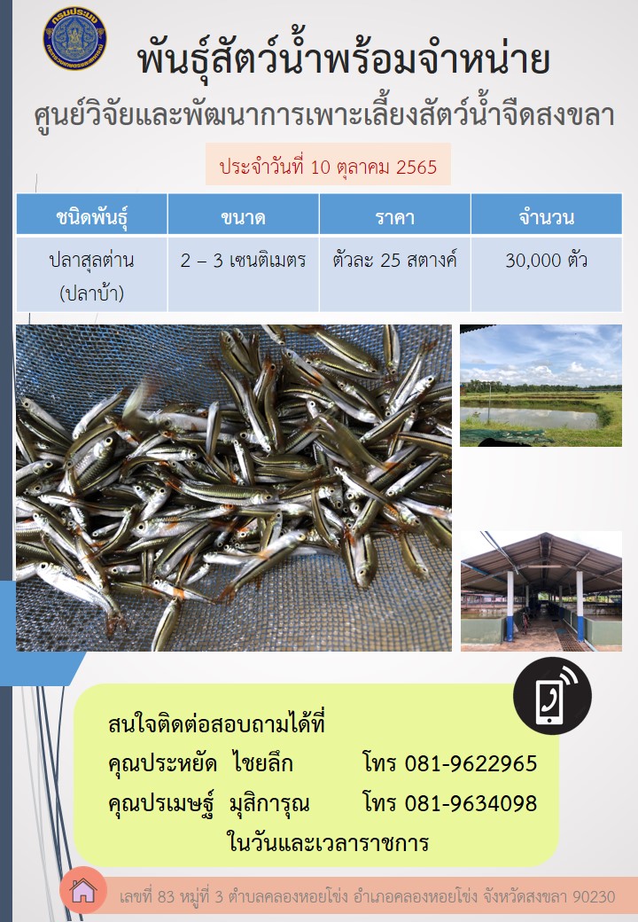 พันธุ์สัตว์น้ำพร้อมจำหน่าย