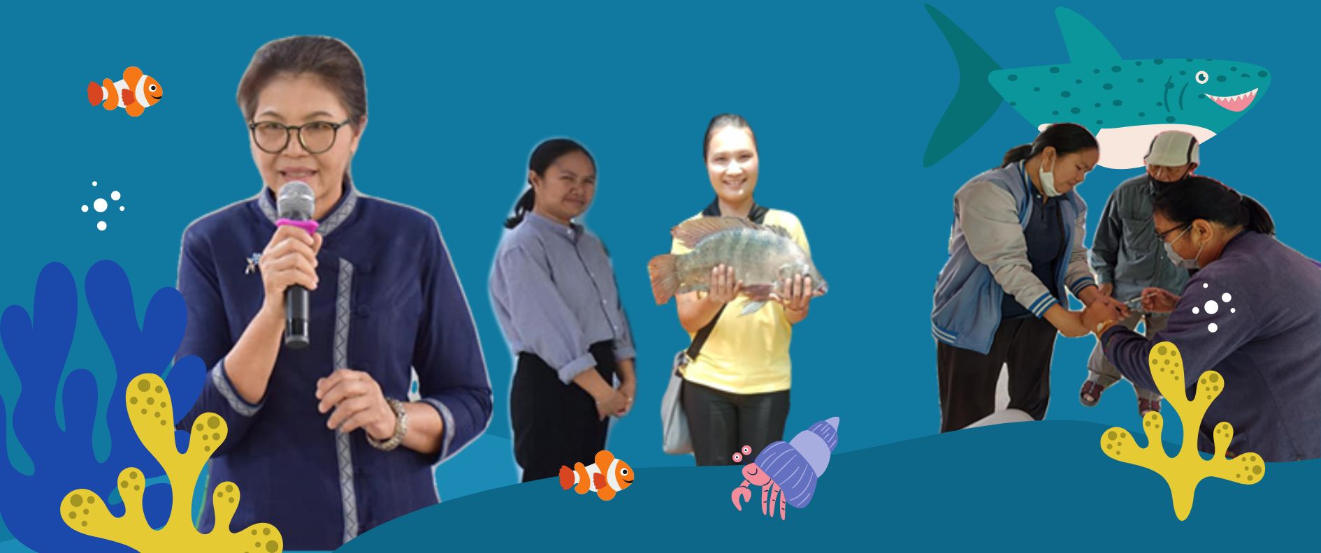 พสป.4
