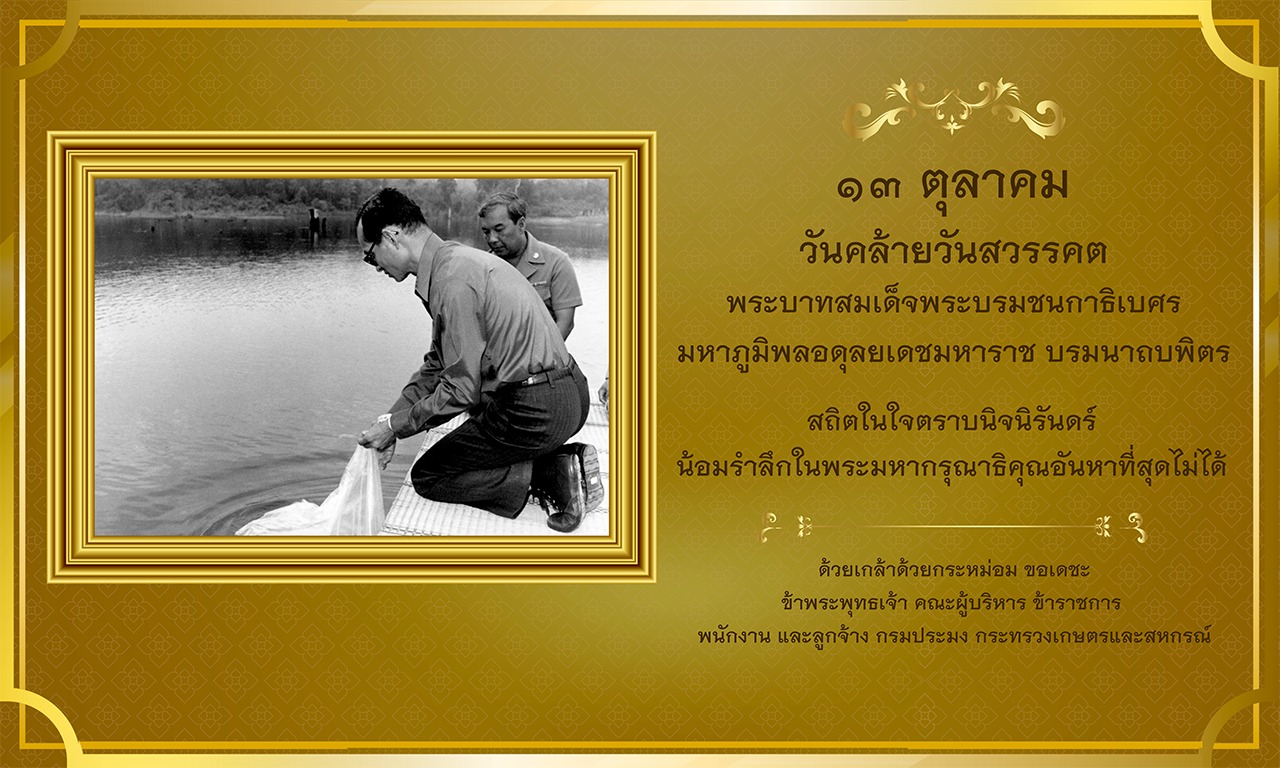 กรมประมง..คลิก