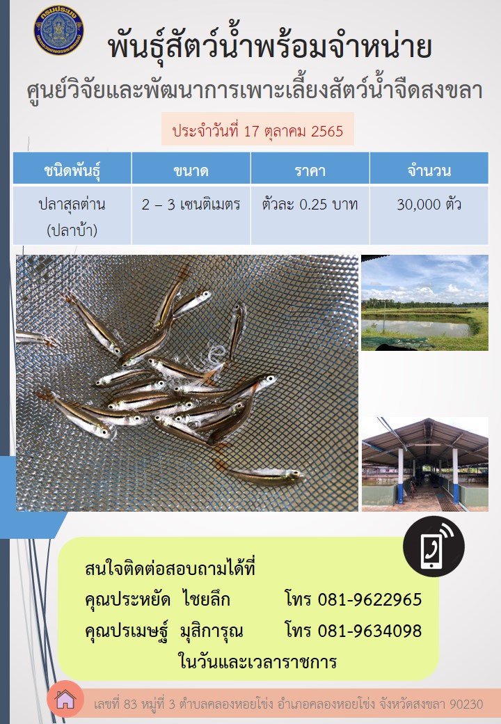 พันธุ์สัตว์น้ำพร้อมจำหน่าย
