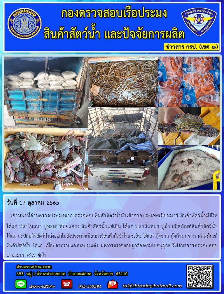 วันที่ 17 ตุลาคม 2565   เจ้าหน้าที่ด่านตรวจประมงตาก ตรวจสอบสินค้าสัตว์น้ำนำเข้าจากประเทศเมียนมาร์ สินค้าสัตว์น้ำมีชีวิต          ได้แก่ ปลาไหลนา ปูทะเล หอยแครง สินค้าสัตว์น้ำแช่เย็น ได้แก่ ปลาลิ้นหมา ปูม้า ผลิตภัณฑ์สินค้าสัตว์น้ำ         ได้แก่ กะปิสินค้าสัตว์น้ำส่งออกไปยังประเทศเมียนมาร์สินค้าสัตว์น้ำแช่เย็น ได้แก่ กุ้งขาว กุ้งก้ามกราม ผลิตภัณฑ์สินค้าสัตว์น้ำ  ได้แก่  เนื้อปลาทรายแดงบดปรุงแต่ง  ผลการตรวจสอบถูกต้องตามใบอนุญาต จึงได้ทำการตรวจปล่อยผ่านระบบ FSW ต่อไป..คลิก