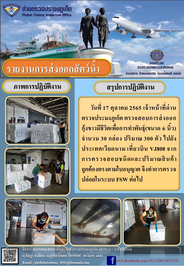 วันที่ 17 ตุลาคม 2565 เจ้าหน้าที่ด่านตรวจประมงภูเก็ต ตรวจสอบการส่งออกกุ้งขาวมีชีวิตเพื่อทำพันธุ์ (ขนาด 6 นิ้ว) จำนวน 30 กล่อง ปริมาณ 300 ตัว ไปยังประเทศเวียดนาม เที่ยวบิน VJ808 จากการตรวจสอบชนิดและปริมาณสินค้าถูกต้องตรงตามใบอนุญาต จึงทำการตรวจปล่อยในระบบ FSW ต่อไป..คลิก