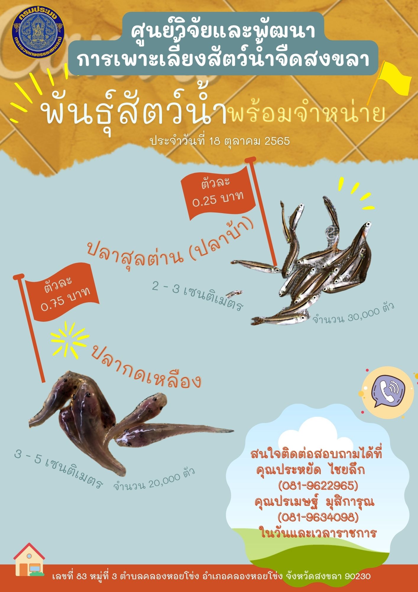 พันธุ์สัตว์น้ำพร้อมจำหน่าย