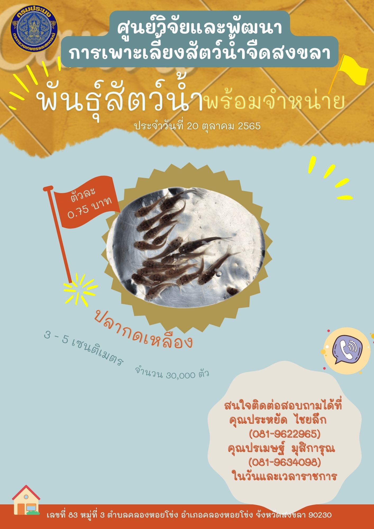 พันธุ์สัตว์น้ำพร้อมจำหน่าย