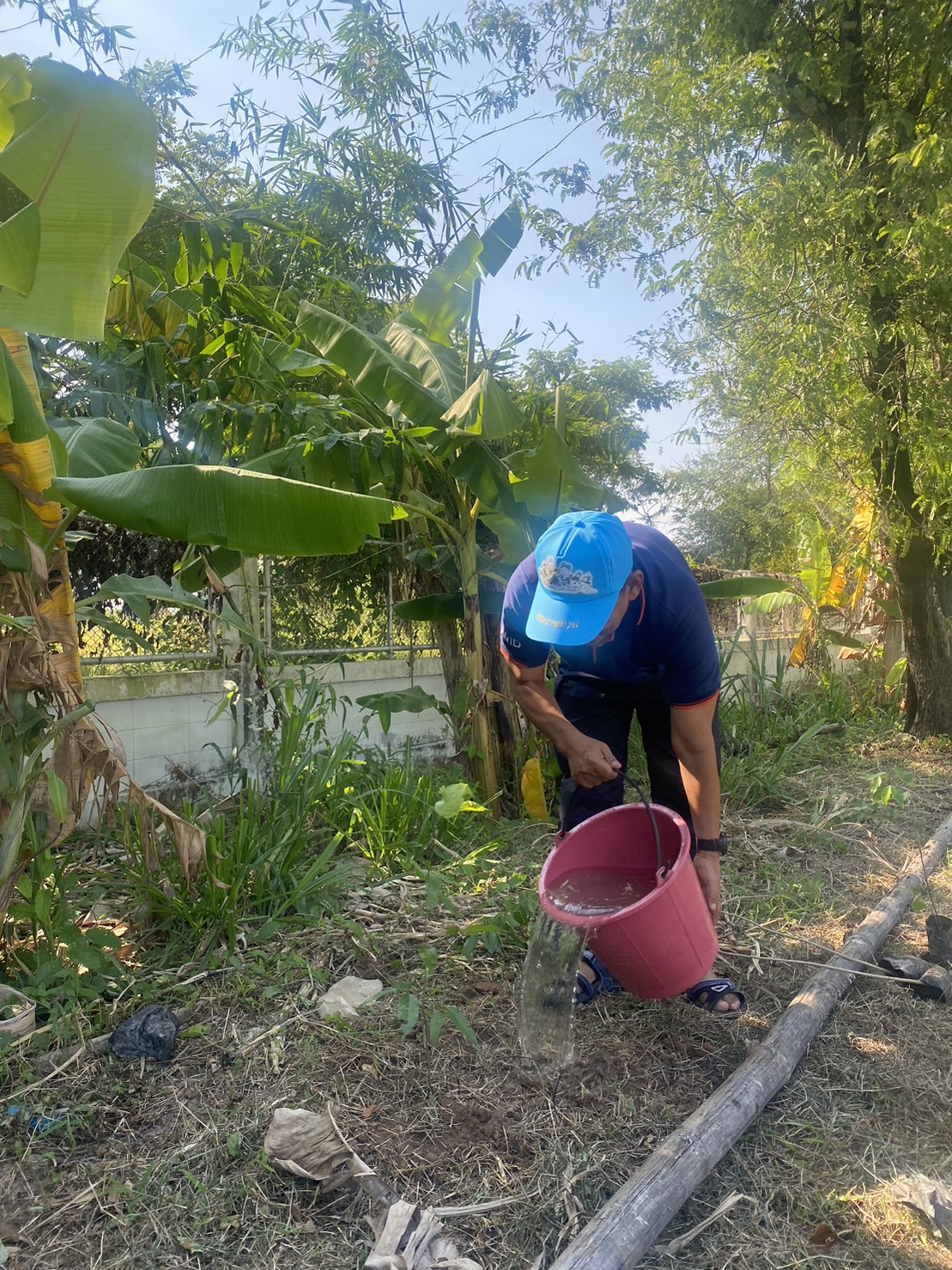 ปลูกต้นไม้ เนื่องในวันต้นไม้ประจำปีแห่งชาติ พ.ศ. 2565..คลิก