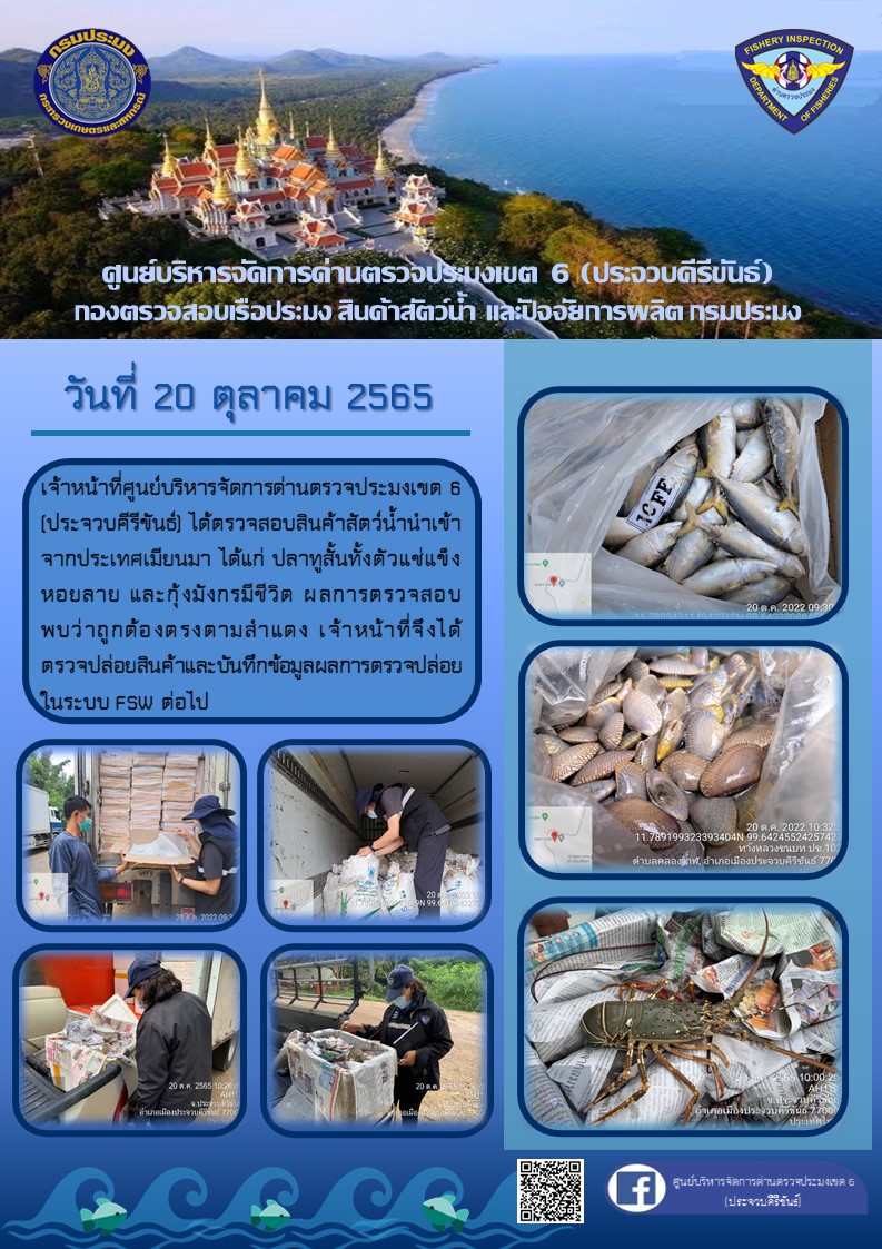 ตรวจสอบสินค้าสัตว์น้ำนำเข้าจากประเทศเมียนมา..คลิก