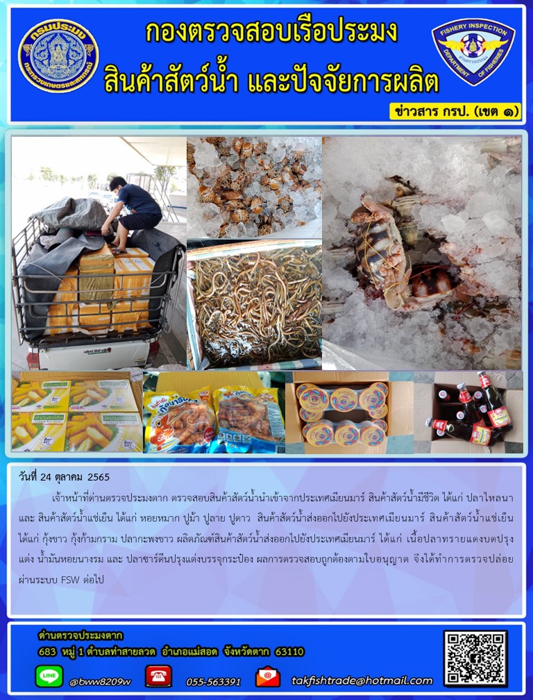 วันที่ 24 ตุลาคม 2565  	เจ้าหน้าที่ด่านตรวจประมงตาก ตรวจสอบสินค้าสัตว์น้ำนำเข้าจากประเทศเมียนมาร์ สินค้าสัตว์น้ำมีชีวิต ได้แก่ ปลาไหลนา และ สินค้าสัตว์น้ำแช่เย็น ได้แก่ หอยหมาก ปูม้า ปูลาย ปูดาว  สินค้าสัตว์น้ำส่งออกไปยังประเทศเมียนมาร์ สินค้าสัตว์น้ำแช่เย็น ได้แก่ กุ้งขาว กุ้งก้ามกราม ปลากะพงขาว ผลิตภัณฑ์สินค้าสัตว์น้ำส่งออกไปยังประเทศเมียนมาร์ ได้แก่ เนื้อปลาทรายแดงบดปรุงแต่ง น้ำมันหอยนางรม และ ปลาซาร์ดีนปรุงแต่งบรรจุกระป๋อง ผลการตรวจสอบถูกต้องตามใบอนุญาต จึงได้ทำการตรวจปล่อยผ่านระบบ FSW ต่อไป..คลิก