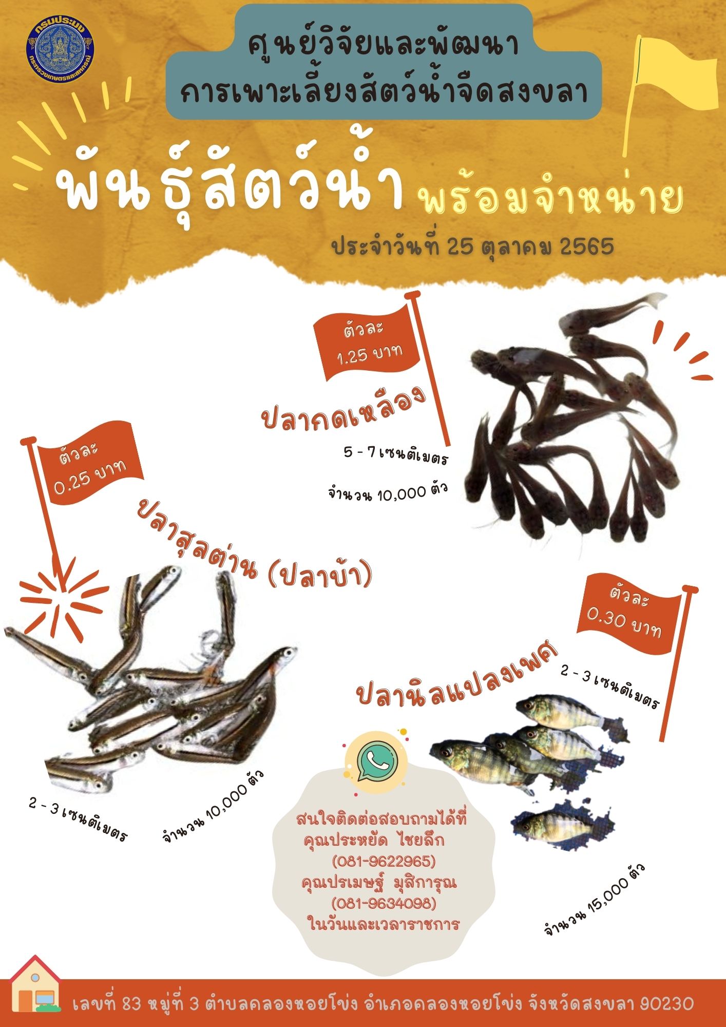 พันธุ์สัตว์น้ำพร้อมจำหน่าย