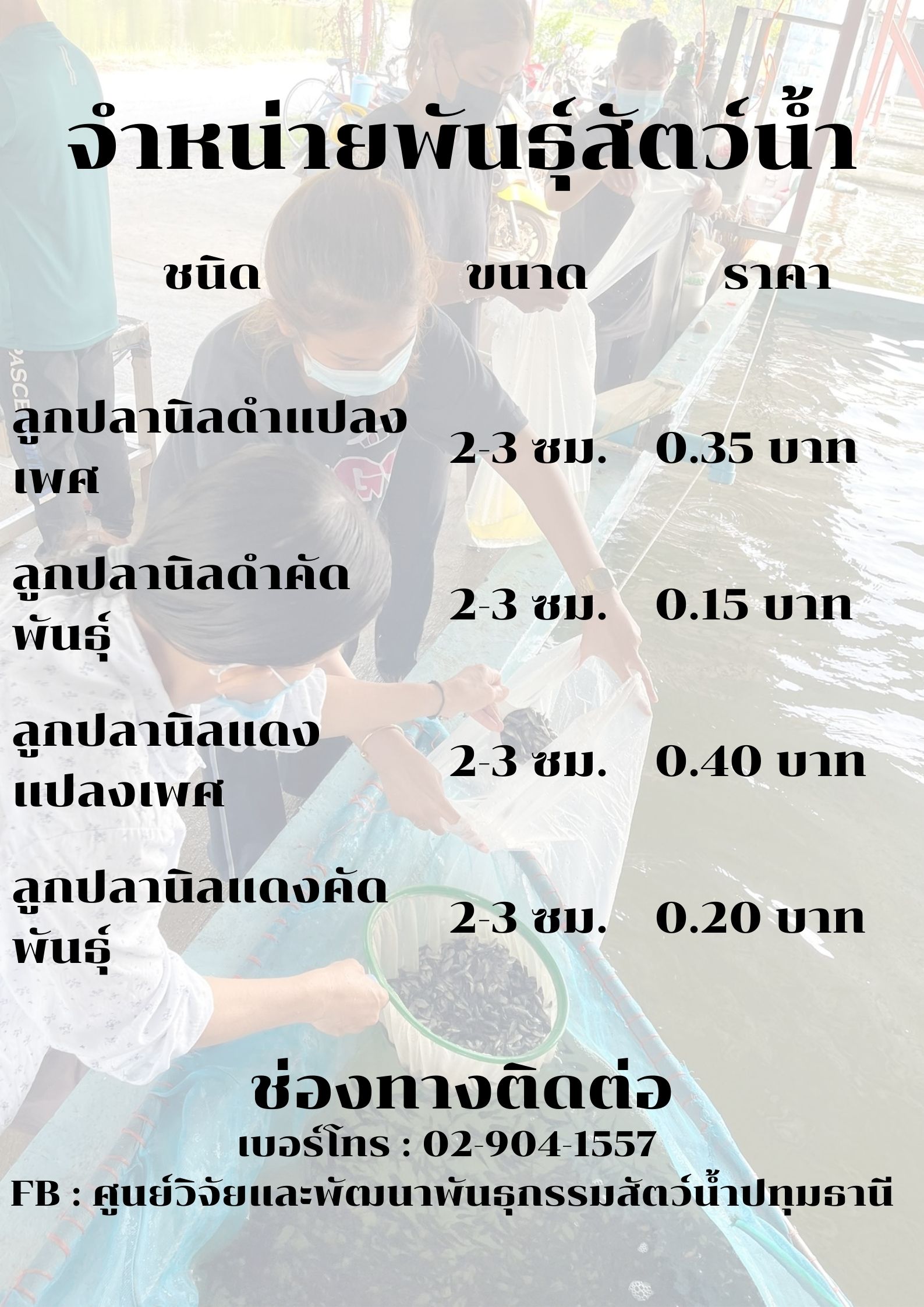 ราคาจำหน่ายพันธุ์สัตว์น้ำ..คลิก