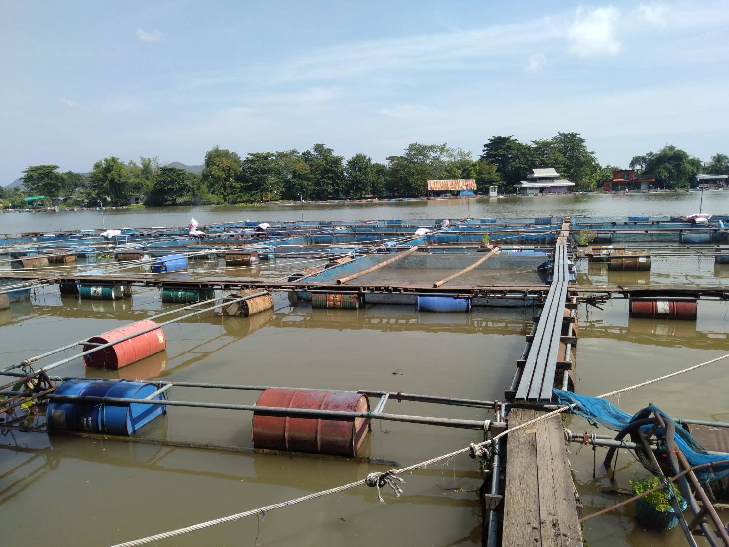 ติดตาม เร่งรัด การปฏิบัติงาน แก้ไขปัญหาด้านการประมงในพื้นที่อำเภอท่าม่วง..คลิก