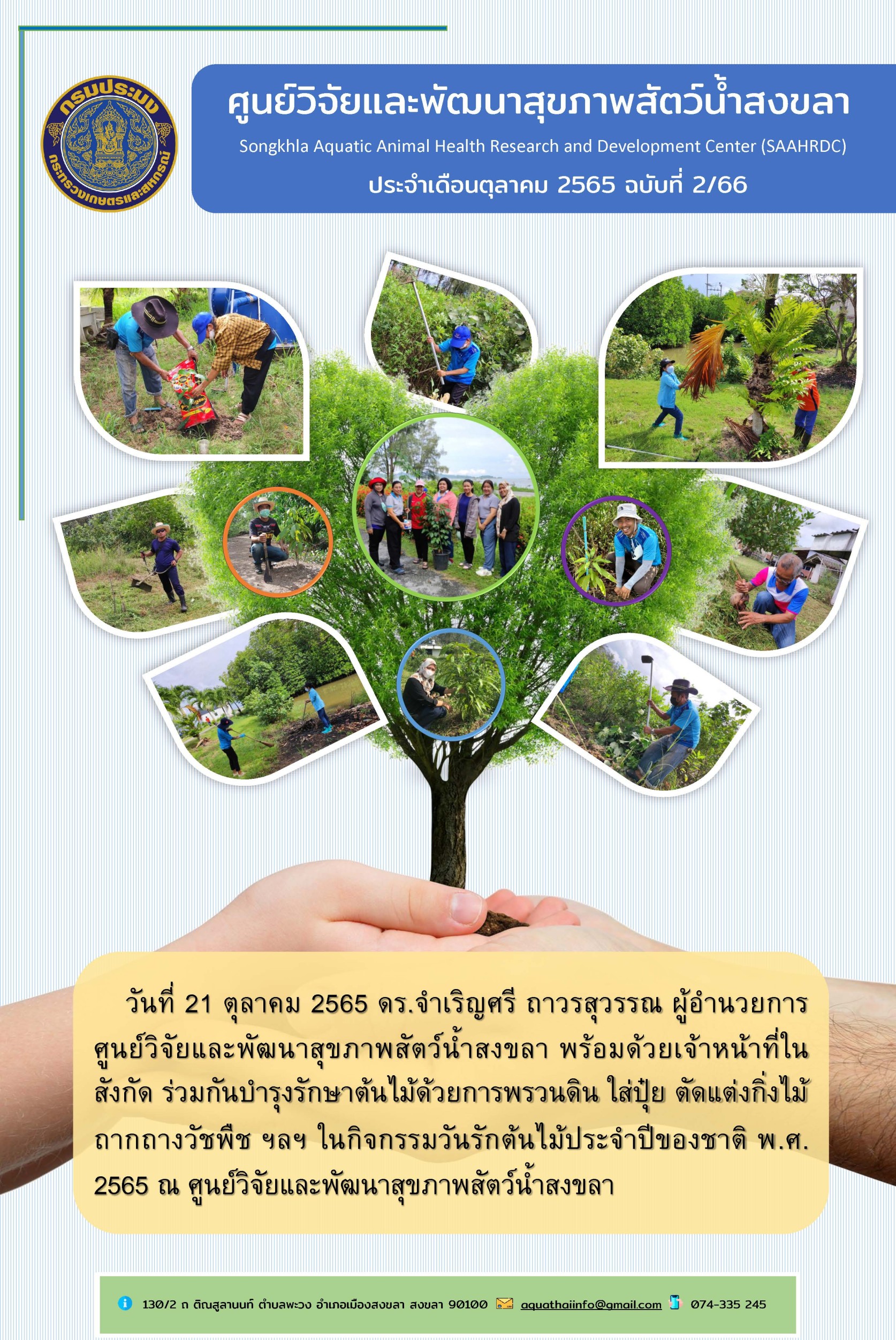 ฉบับที่ 2/66 ศูนย์วิจัยและพัฒนาสุขภาพสัตว์น้ำสงขลา พร้อมด้วยเจ้าหน้าที่ใน สังกัด ร่วมกันบำรุงรักษาต้นไม้ด้วยการพรวนดิน ใส่ปุ๋ย ตัดแต่งกิ่งไม้ ถากถางวัชพืช ฯลฯ ในกิจกรรมวันรักต้นไม้ประจำปีของชาติ..คลิก