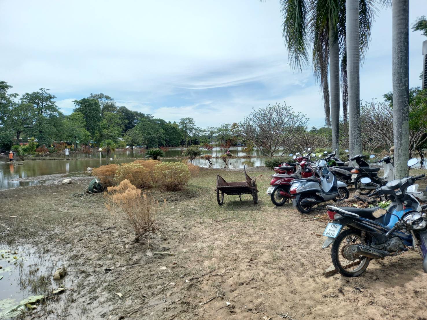 ประมงจังหวัดศรีสะเกษ ลงพื้นที่เยี่ยมเยือนให้..คลิก
