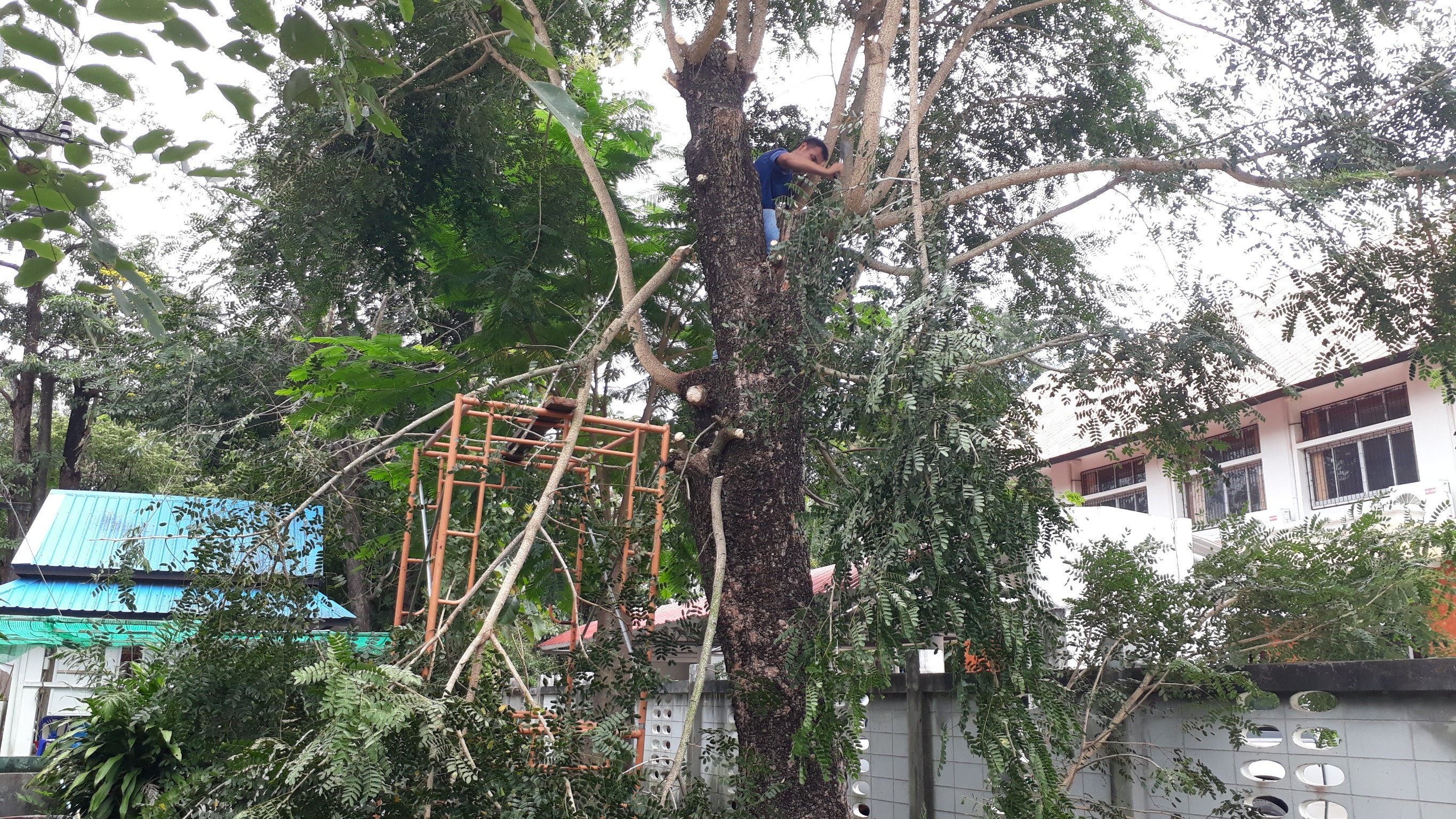 Big Cleaning Day..คลิก